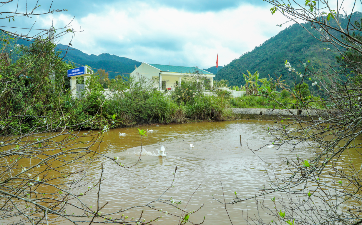 Trình Tường bừng sáng nơi biên cương Đông Bắc (11/02/2024)
